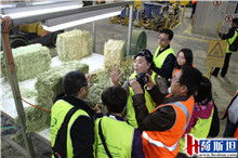 2015年荷斯坦代表團(tuán)赴Balco南澳燕麥加工廠開展奶業(yè)技術(shù)交流