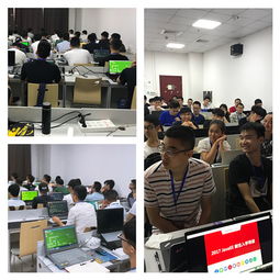 遠(yuǎn)方的地平線 黑馬程序員技術(shù)交流社區(qū)——技術(shù)浪潮中的燈塔與港灣